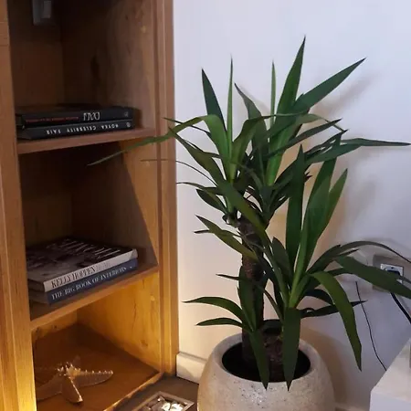 Apartman Lelu Split